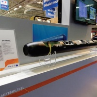El Torpedo Francés F21