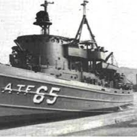 El naufragio del ATF Janequeo