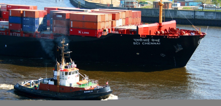 Maritime shipping and its actions in the face of global warming