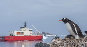 Las áreas marinas protegidas