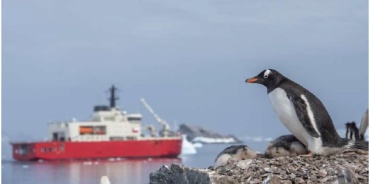 Las áreas marinas protegidas