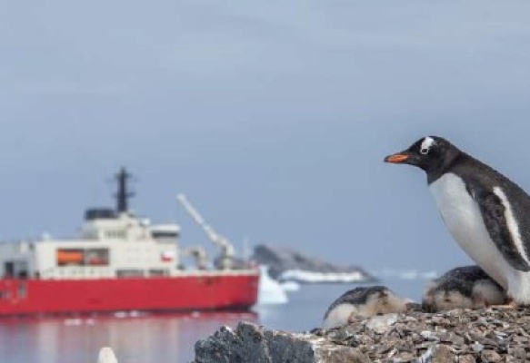 Las áreas marinas protegidas