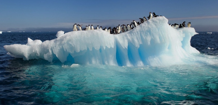 Control climático por fitoplnacton antártico