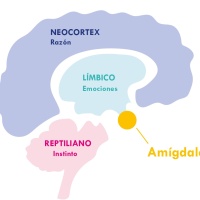 Mindfulness en la formación de los guerreros del siglo XXI