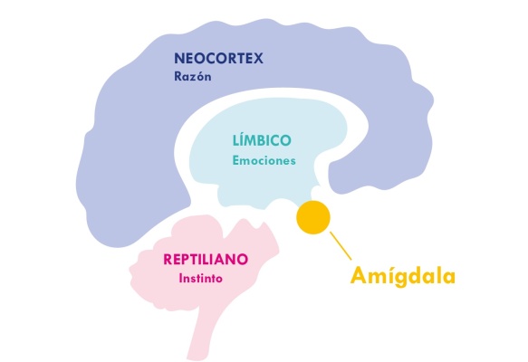 Mindfulness en la formación de los guerreros del siglo XXI