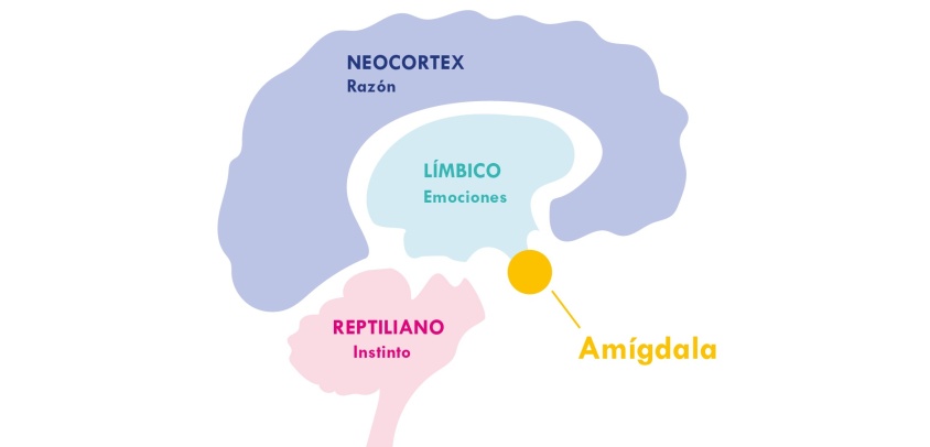Mindfulness en la formación de los guerreros del siglo XXI