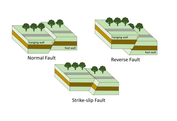Terremotos con Tsunami en Chile, período 2010-2020