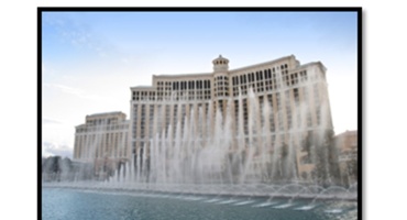 Procesos zombie: parasitando la energía de tu organización