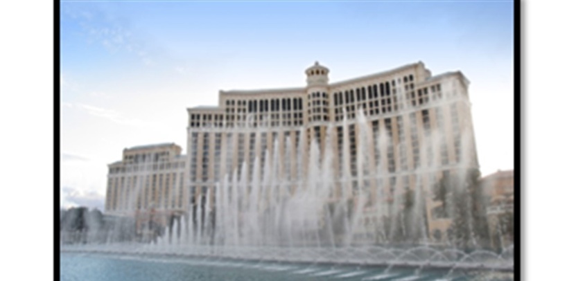 Procesos zombie: parasitando la energía de tu organización