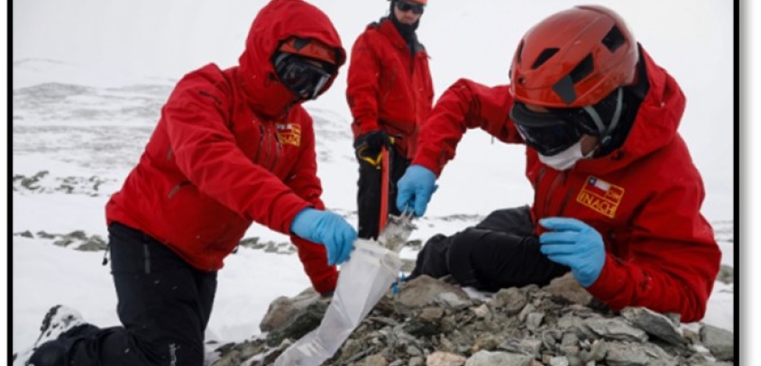 Actividades antárticas: ¿Qué se hace en el continente blanco?