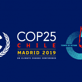 Cambio climático y la COP25 Chile - Madrid: Un escenario complejo
