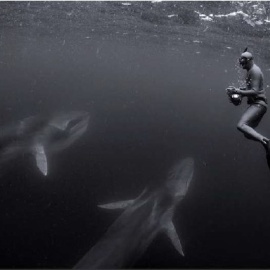 Archipiélago de Humboldt, el "Galápagos" chileno