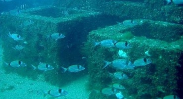 Arrecifes artificiales: Un imperativo medioambiental