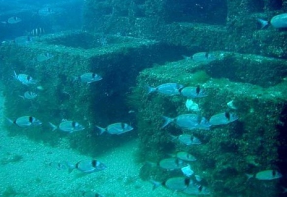 Arrecifes artificiales: Un imperativo medioambiental